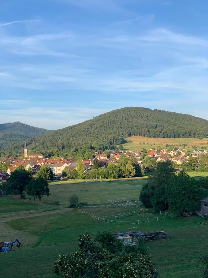Casa Blanca Am Herzzentrum Lahr Lahr  Dış mekan fotoğraf